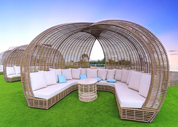 Cordial Santa águeda *